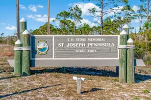 194 Antilles Dr, Port Saint Joe, FL 32456 - Photo 63