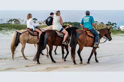 194 Antilles Dr, Port Saint Joe, FL 32456 - Photo 61