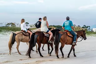 194 Antilles Dr, Port Saint Joe, FL 32456 - Photo 61