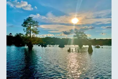 174 Audubon Ln, Wewahitchka, FL 32465 - Photo 9