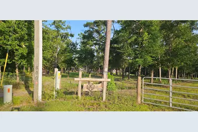 800 Hickory Hammock Rd, Carrabelle, FL 32322 - Photo 3