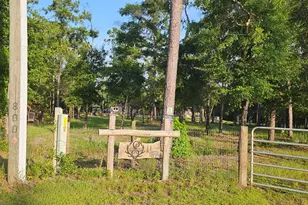 800 Hickory Hammock Rd, Carrabelle, FL 32322 - Photo 3