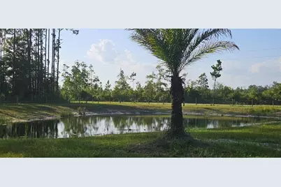 800 Hickory Hammock Rd, Carrabelle, FL 32322 - Photo 77