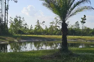 800 Hickory Hammock Rd, Carrabelle, FL 32322 - Photo 77