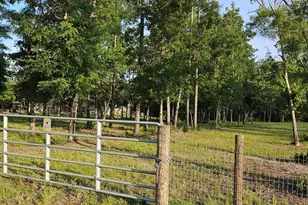 800 Hickory Hammock Rd, Carrabelle, FL 32322 - Photo 85