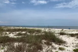 183 Joe Ave, Wewahitchka, FL 32465 - Photo 15