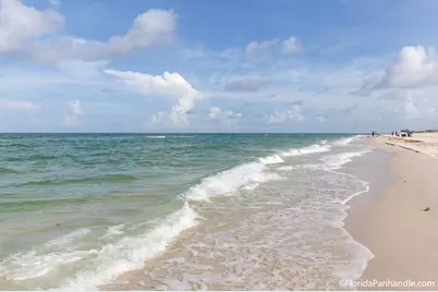 183 Joe Ave, Wewahitchka, FL 32465 - Photo 15