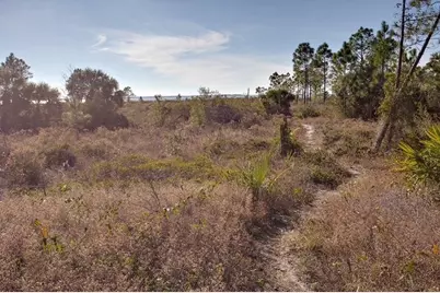 296 Sea Grove Way, Port Saint Joe, FL 32456 - Photo 13