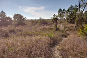 296 Sea Grv Wy, Port Saint Joe, FL 32456 - Photo 13