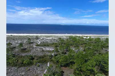 296 Sea Grove Way, Port Saint Joe, FL 32456 - Photo 3