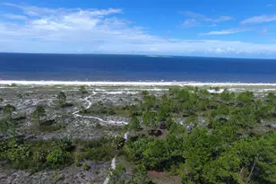 296 Sea Grv Wy, Port Saint Joe, FL 32456 - Photo 3