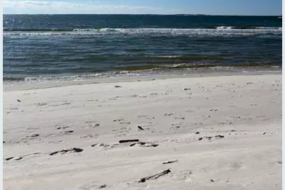 115 Watermark Way, Port Saint Joe, FL 32456 - Photo 11