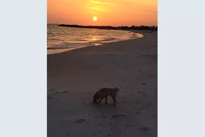 115 Watermark Way, Port Saint Joe, FL 32456 - Photo 13