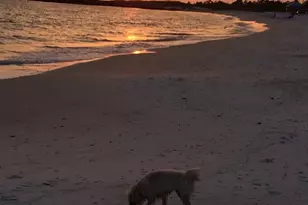 115 Watermark Wy, Port Saint Joe, FL 32456 - Photo 13