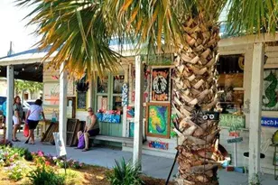 2390 Oak St, Lanark Village, FL 32322 - Photo 67