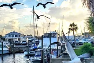 2390 Oak St, Lanark Village, FL 32322 - Photo 63