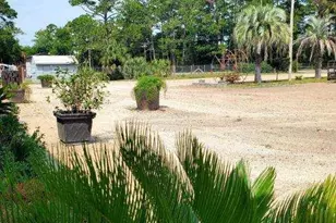 2390 Oak St, Lanark Village, FL 32322 - Photo 59