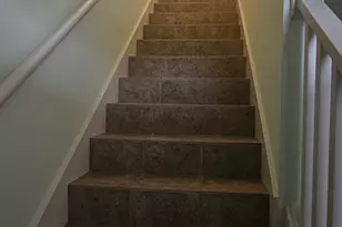 401 St James Ave, Carrabelle, FL 32322 - Photo 15