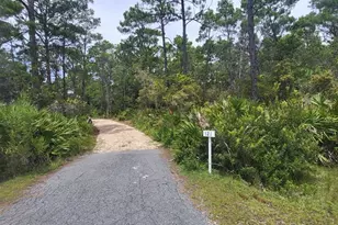 121 Cedar St, Eastpoint, FL 32328 - Photo 3