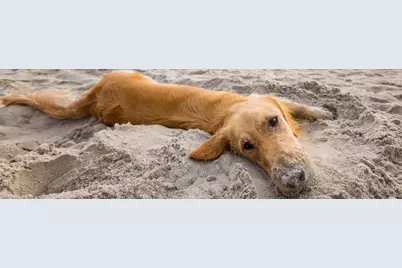 138 Atlantic St, Port Saint Joe, FL 32456 - Photo 51