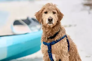 525 Eighth St, Port Saint Joe, FL 32456 - Photo 69