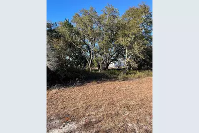 2245 Oak St, Lanark Village, FL 32322 - Photo 3