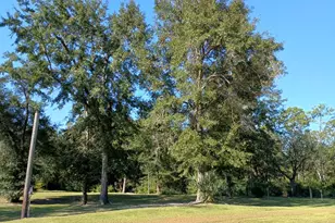 1220 Stone Mill Creek Rd, Wewahitchka, FL 32465 - Photo 3