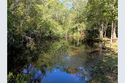 1220 Stone Mill Creek Rd, Wewahitchka, FL 32465 - Photo 5