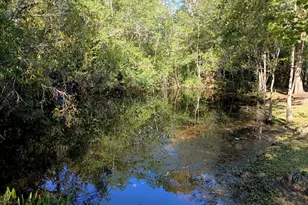 1220 Stone Mill Creek Rd, Wewahitchka, FL 32465 - Photo 5