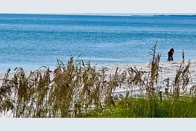 9120 Wentletrap Ave, Port Saint Joe, FL 32456 - Photo 51