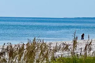 9120 Wentletrap Ave, Port Saint Joe, FL 32456 - Photo 51