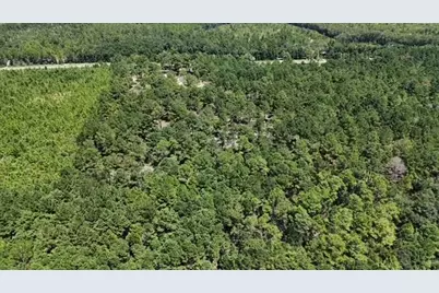 4858 Cr 381, Wewahitchka, FL 32465 - Photo 5