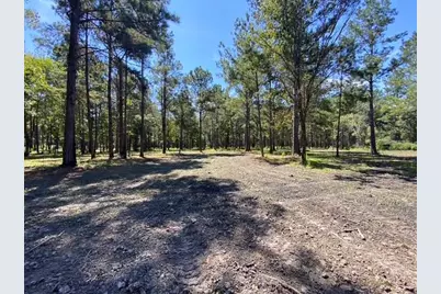 4858 Cr 381, Wewahitchka, FL 32465 - Photo 11