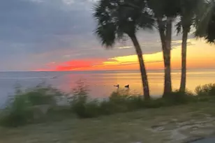 182 Palm Breeze Way, Port Saint Joe, FL 32456 - Photo 49