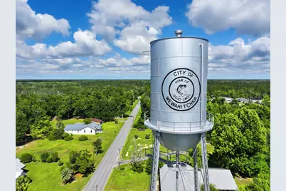 Tbd Sealy Dr, Wewahitchka, FL 32465 - Photo 19