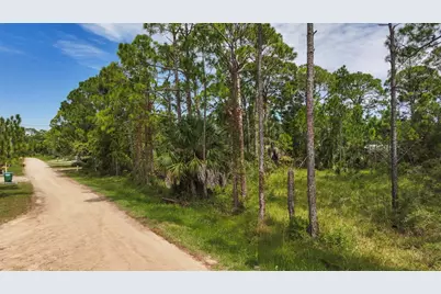 1028 Porter St, Saint George Island, FL 32328 - Photo 3