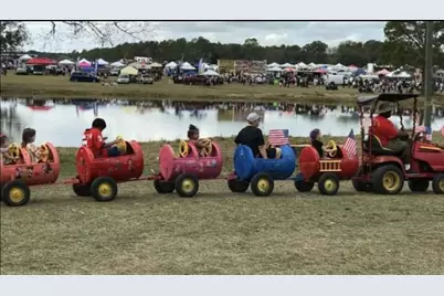 250 Winnie St, Wewahitchka, FL 32465 - Photo 19