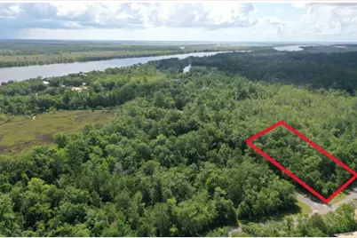 135 Water Oaks Way, Apalachicola, FL 32320 - Photo 3