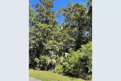 135 Water Oaks Way, Apalachicola, FL 32320 - Photo 1