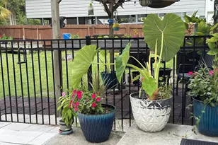 110 Franklin St, Carrabelle, FL 32323 - Photo 9