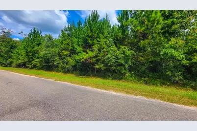 6520 Ganley Rd, Wewahitchka, FL 32465 - Photo 13