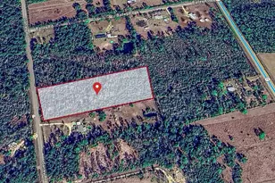 6520 Ganley Rd, Wewahitchka, FL 32465 - Photo 1