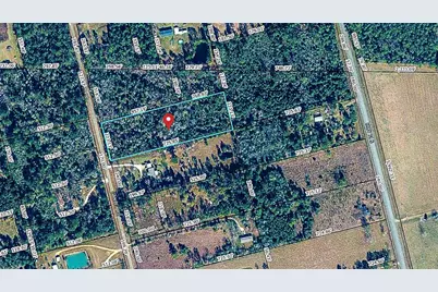 6520 Ganley Rd, Wewahitchka, FL 32465 - Photo 7