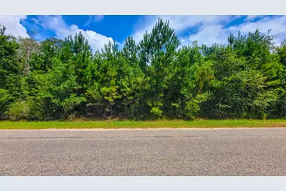 6520 Ganley Rd, Wewahitchka, FL 32465 - Photo 9