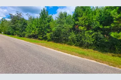 6520 Ganley Rd, Wewahitchka, FL 32465 - Photo 11