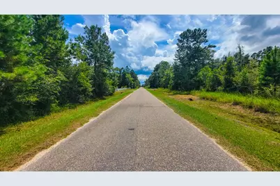 6520 Ganley Rd, Wewahitchka, FL 32465 - Photo 5