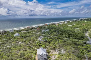 1604 Ivy Way, Saint George Island, FL 32328 - Photo 69