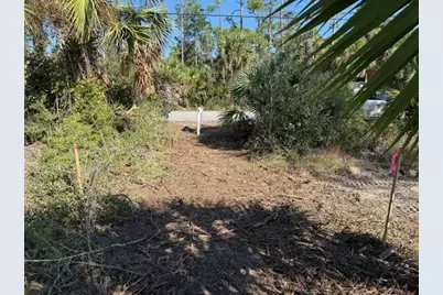 Tbd Cr 30-A, Port Saint Joe, FL 32456 - Photo 3