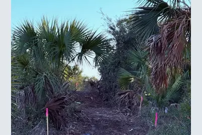 Tbd Cr 30-A, Port Saint Joe, FL 32456 - Photo 7