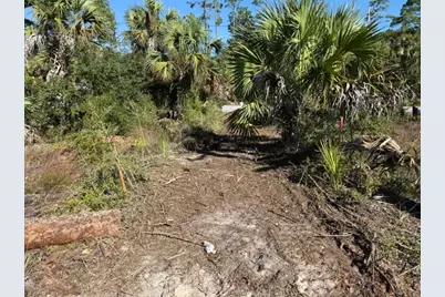 Tbd Cr 30-A, Port Saint Joe, FL 32456 - Photo 9